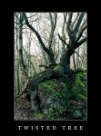 Twisted Tree